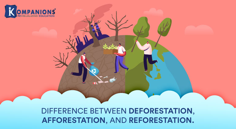 afforestation and deforestation