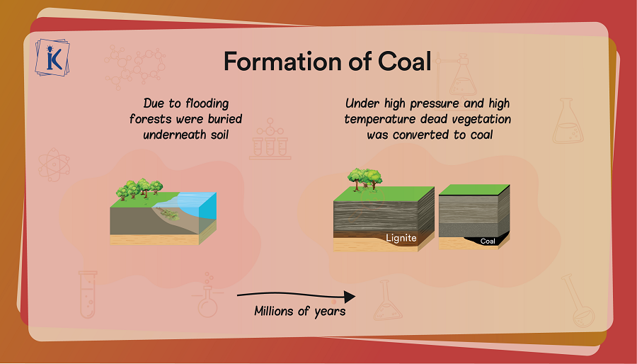 Class 10] What is Coal and petroleum? - Carbon & it's compound